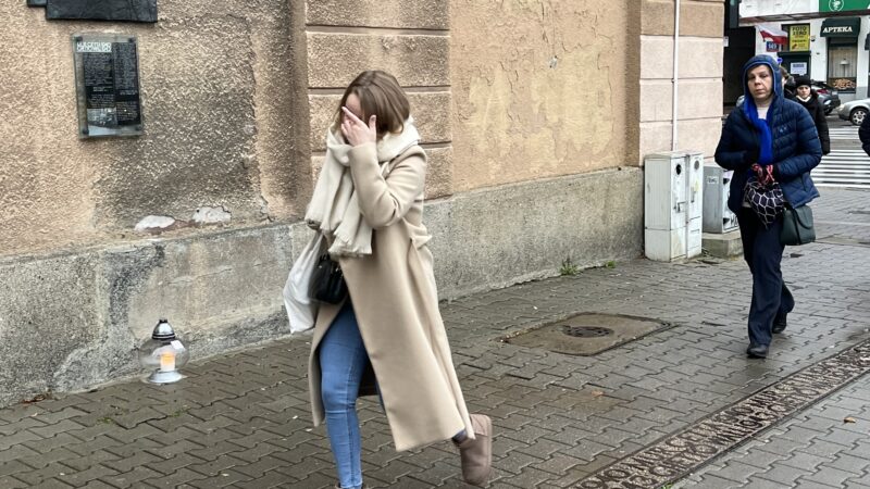 pic 15