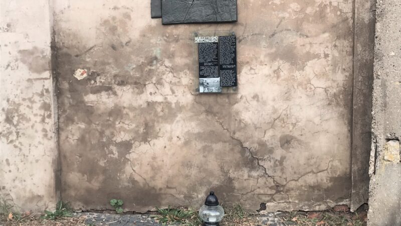 pic 16