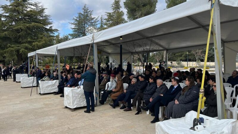 pic 11