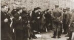 The January Self-Defence