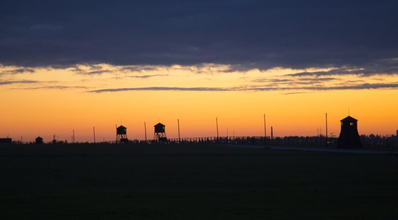 pic 10