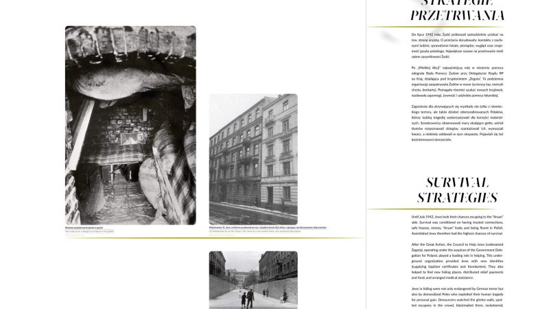 pic 13
