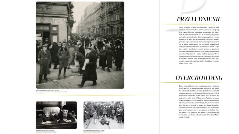 pic 8