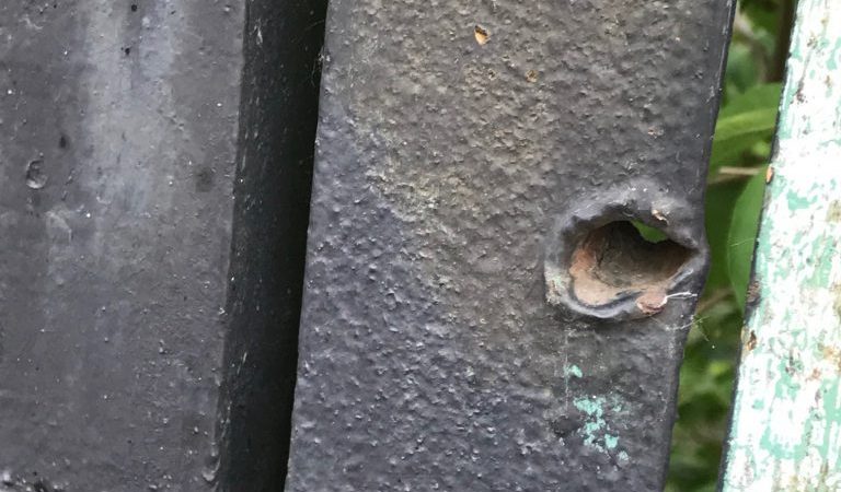 pic 7