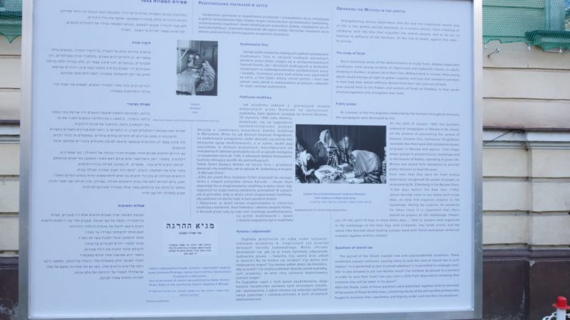 pic 8