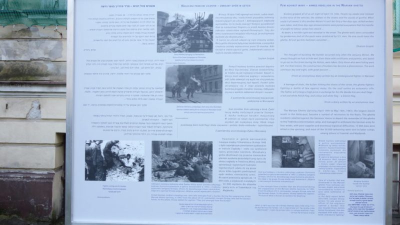 pic 12