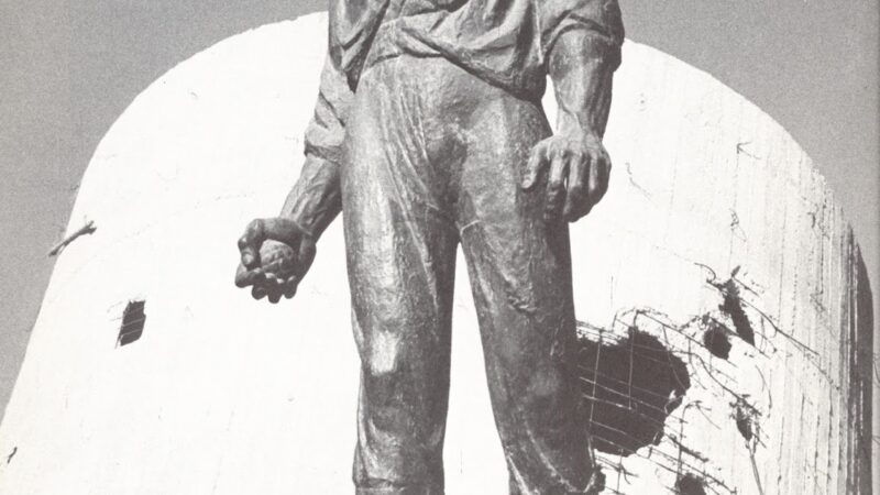 pic 5