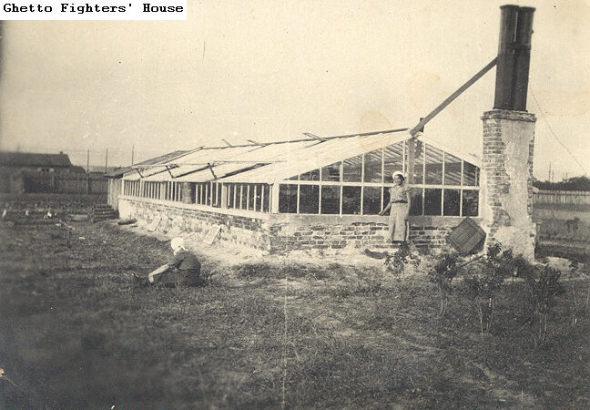pic 1