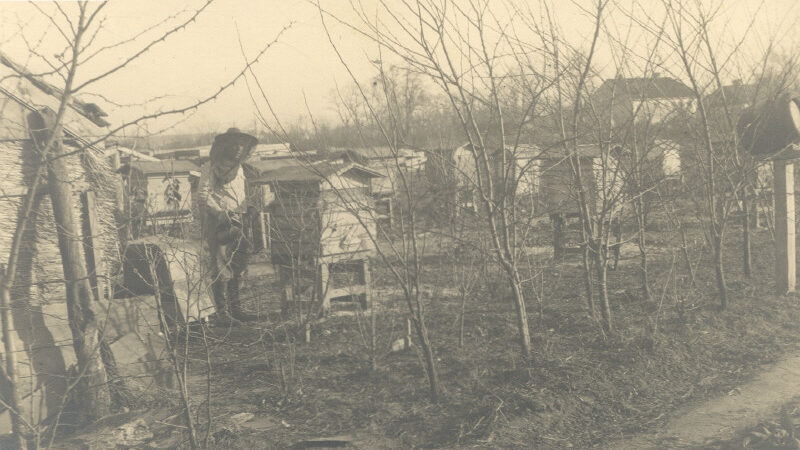 pic 1