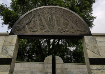 Pamięć drzew. Drzewa jako eko świadkowie historii Muranowa i Mirowa