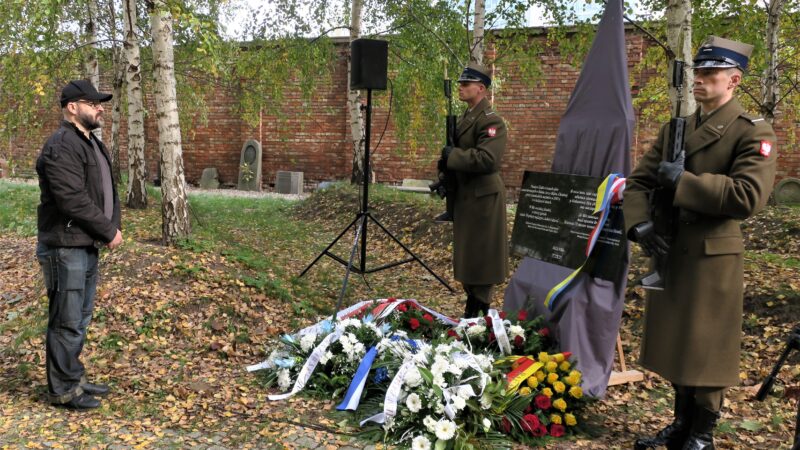 pic 6