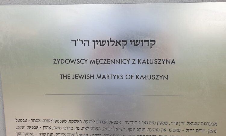 pic 1