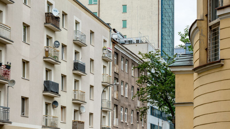 pic 15