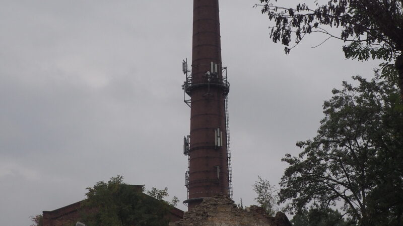 pic 6
