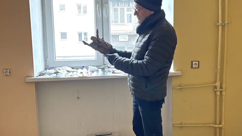 pic 4