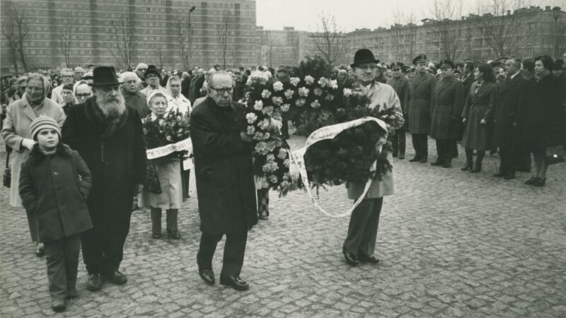 pic 15
