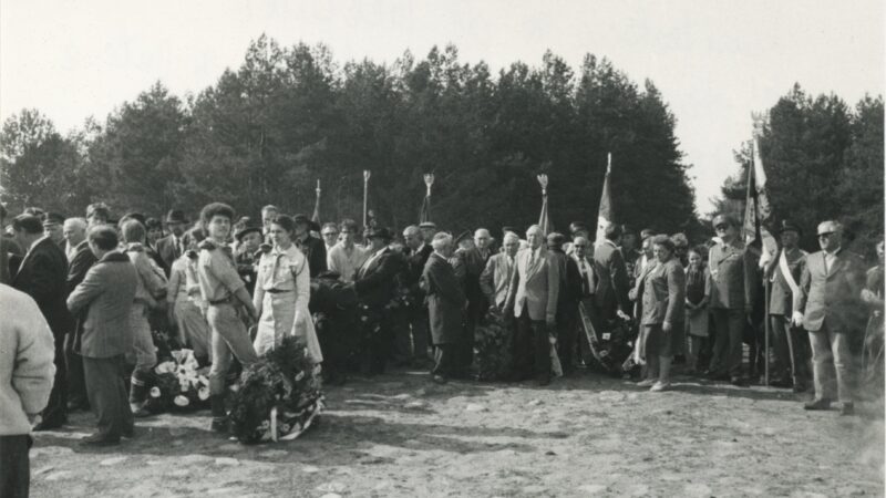 pic 3
