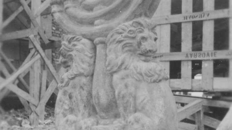 pic 14