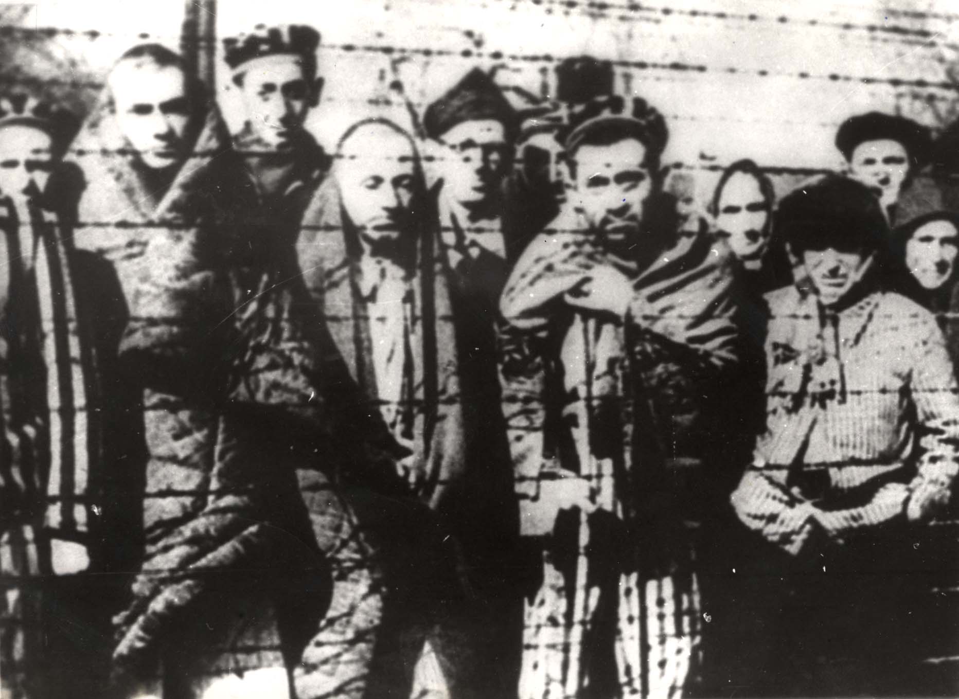 Ocalali za ogrodzeniem z drutu kolczastego po wyzwoleniu obozu, Auschwitz, Polska, 1945 | Archiwum Yad Vashem 
