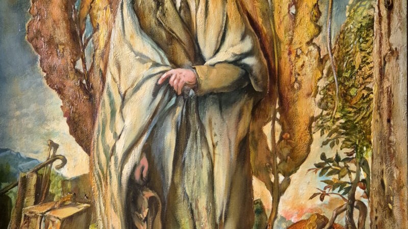 pic 8